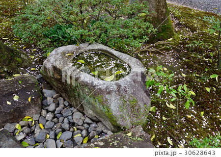 仙洞御所 醒花亭の手水鉢(蹲踞) 仙洞御所 醒花亭の手水鉢(蹲踞) 30628643