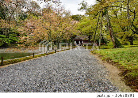 仙洞御所 醒花亭と桜の馬場 仙洞御所 醒花亭と桜の馬場 30628891