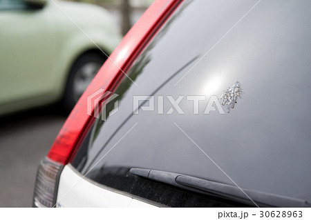 糞害・車 30628963