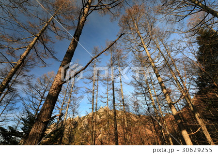 富士見平から見る夕照の瑞牆山 富士見平から見る夕照の瑞牆山 30629255