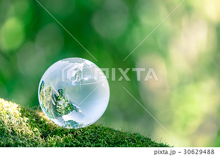 森の中の地球儀 30629488
