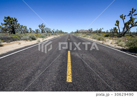 Desert Forest Road 30629490