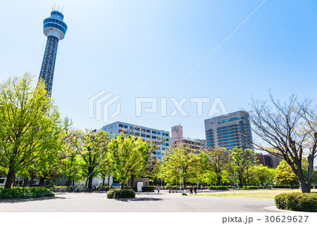 横浜　山下公園とマリンタワー 30629627