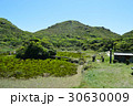 天上山 30630009