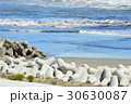 海 30630087