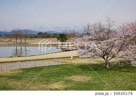 桜氏家ゆうゆうパークと日光連山 桜氏家ゆうゆうパークと日光連山 30630178