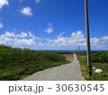 波照間島の道 30630545