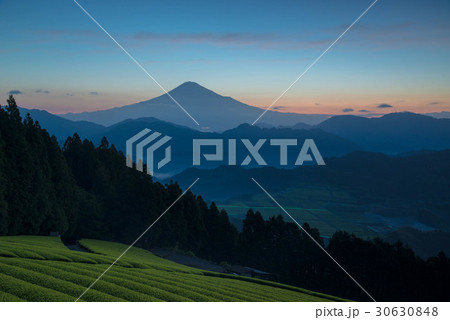 静岡市清水吉原から夜明けの茶畑と富士山 30630848
