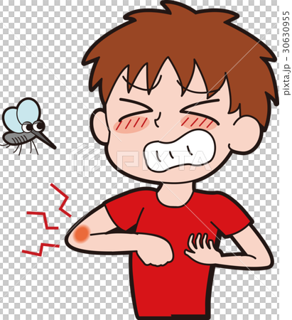 蚊に刺された少年のイラスト 30630955