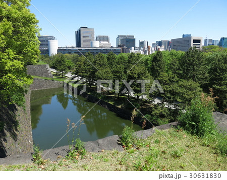皇居東御苑の展望台からの眺め(白鳥濠・汐見坂・二の丸雑木林) 皇居東御苑の展望台からの眺め(白鳥濠・汐見坂・二の丸雑木林) 30631830