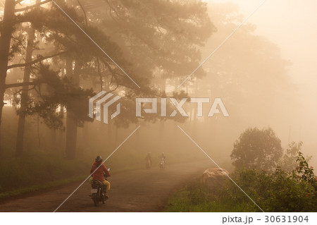 A street in early morning fog, Da Lat, Lam Dong 30631904