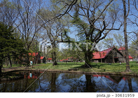 北海道大学第2農場風景 30631959