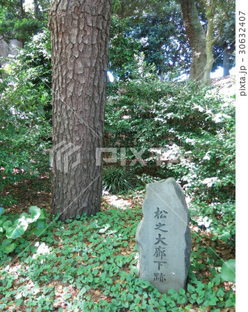 皇居東御苑にある江戸城の松の廊下跡 30632407