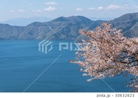 賤ケ岳から見下ろす山の桜と奥琵琶湖の情景の写真素材