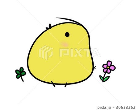 ひよこ のイラスト素材