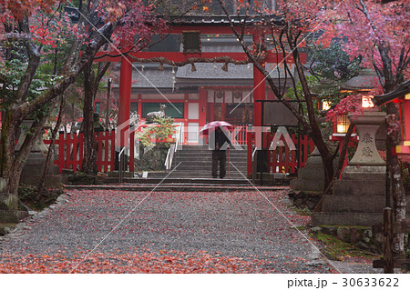 京都市西京区大原野にある秋の大原野神社を撮影 30633622