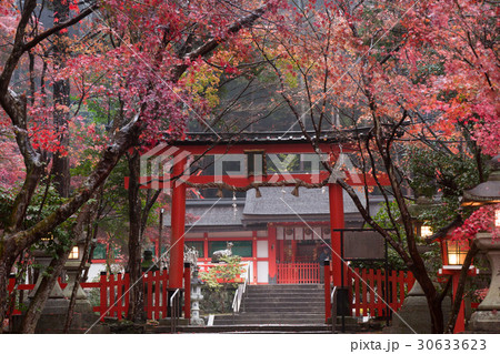 京都市西京区大原野にある秋の大原野神社を撮影 30633623