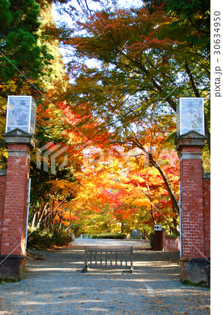 秋の天鏡閣（猪苗代町） 30634950