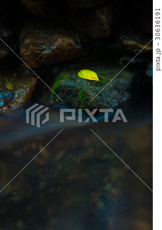 A yellow leaf on the rock with waterfall in dark A yellow leaf on the rock with waterfall in dark 30636191
