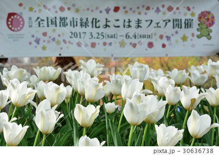 全国都市緑化よこはまフェア・反町公園会場 30636738