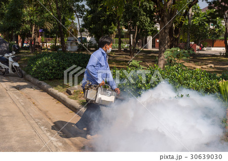 Fogging DDT spray kill mosquito Fogging DDT spray kill mosquito 30639030