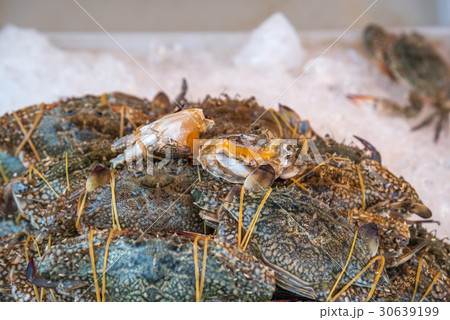 Fresh raw flower crab at seafood market 30639199