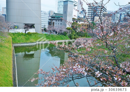 東京観光スポット桜スポット・皇居田安門橋から見渡す春の牛ヶ淵対岸の昭和館と九段会館・横位置 30639673