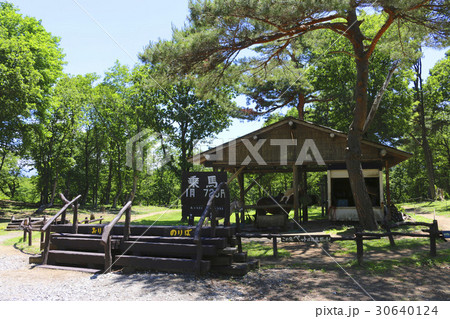 南ヶ丘牧場（猪苗代町） 30640124