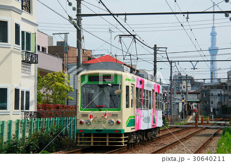 スカイツリーがそびえる都電沿い 30640211