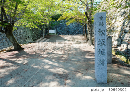 松阪城 石碑（松坂城）【国史跡・日本100名城】 30640302