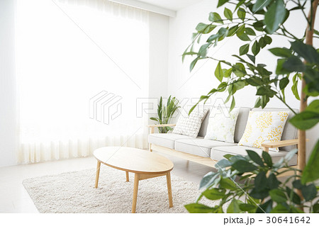 誰もいないシンプルな部屋 誰もいないシンプルな部屋 30641642