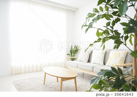 誰もいないシンプルな部屋 30641643