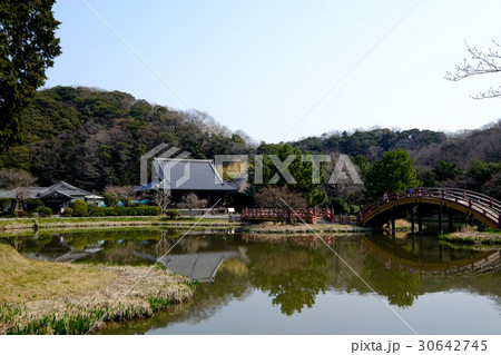 称名寺庭園 30642745