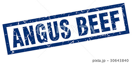 square grunge blue angus beef stamp 30643840