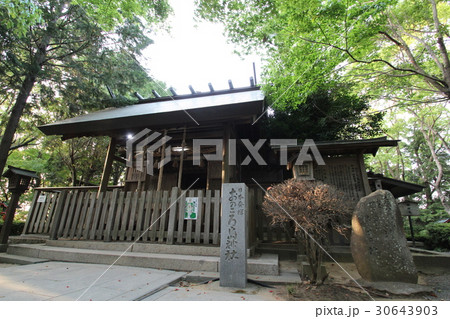 おのころ島神社＜自凝島神社＞　淡路島　南淡路市 30643903