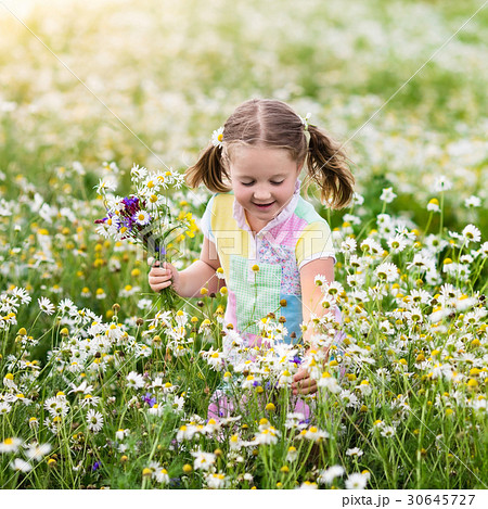 Little girl picking flowers in daisy field 30645727