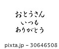 父の日　筆文字　お父さん　いつもありがとう 30646508