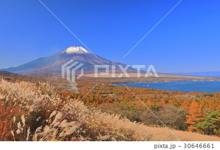 山中湖パノラマ台から見た紅葉と富士山 山中湖パノラマ台から見た紅葉と富士山 30646661