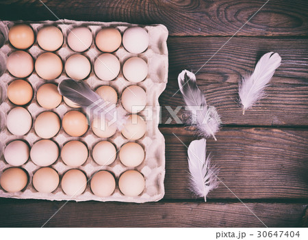Fresh chicken eggs Fresh chicken eggs 30647404
