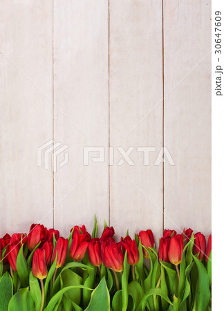 Beautiful Red Tulips Flowers on Wooden Background Beautiful Red Tulips Flowers on Wooden Background 30647609