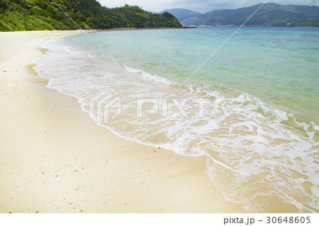 加計呂麻島　スリ浜 30648605