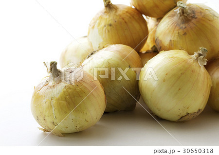 新玉ネギ1 30650318