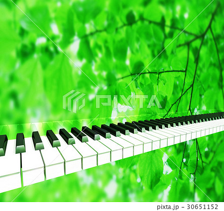 木漏れ日でピアノの鍵盤が演奏するのイラスト素材