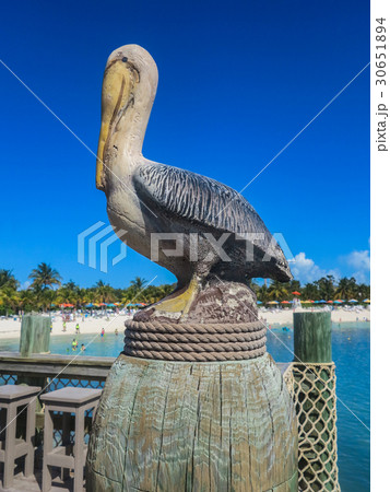 Pelican Statue Pelican Statue 30651894