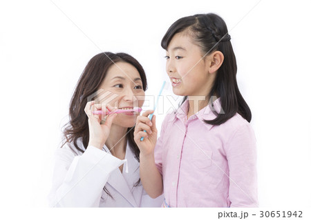 ハミガキ ハミガキ 30651942