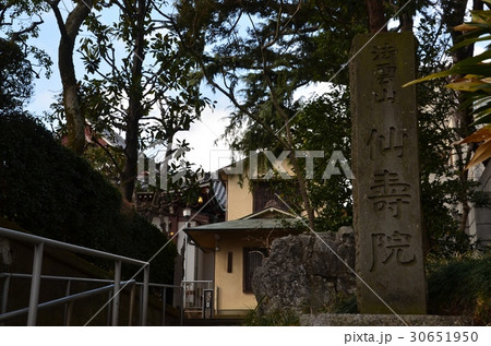 法雲山仙壽院 法雲山仙壽院 30651950