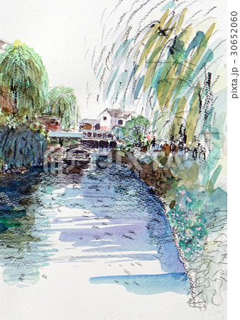 川端の柳　柳　京都　伏見のスケッチ 30652060