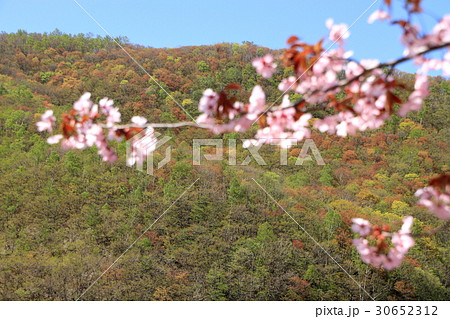 北海道小樽市朝里の風景 北海道小樽市朝里の風景 30652312