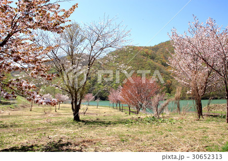北海道小樽市朝里の風景 北海道小樽市朝里の風景 30652313