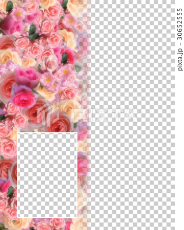 フォトアルバム用テンプレートフレーム2枚写真用ピンクの薔薇のイラスト素材